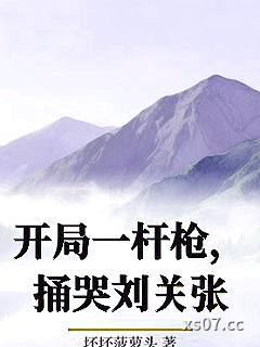 开局一杆枪，捅哭刘关张小说封面-坏坏菠萝头-军事