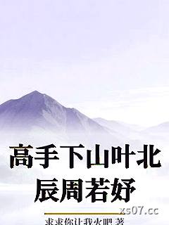高手下山叶北辰周若妤