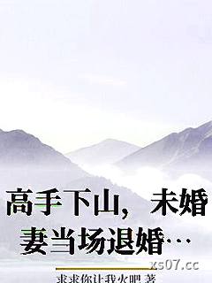 高手下山，未婚妻当场退婚叶北辰周若妤小说封面-求求你让我火吧-历史