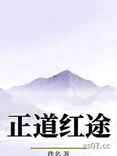 正道红途小说封面-佚名-言情
