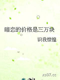 暗恋的价格是三万块小说封面-识我惊惶-军事