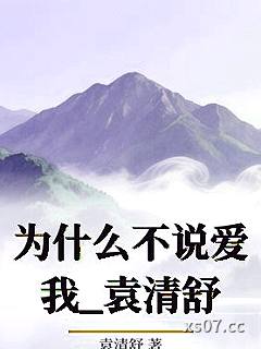 为什么不说爱我_袁清舒小说封面-袁清舒-ＧＬ百合