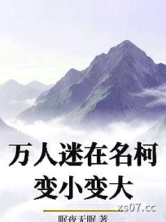 万人迷在名柯变小变大小说封面-眠夜无眠-推理悬疑