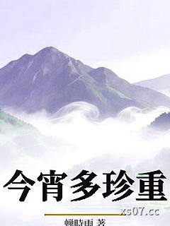 今宵多珍重小说封面-蝉時雨-ＧＬ百合