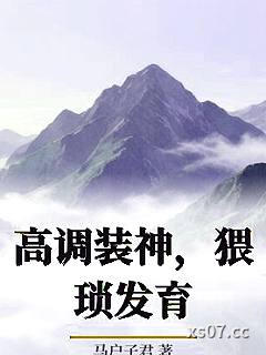 高调装神，猥琐发育小说封面-马户子君-奇幻