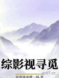 综影视寻觅小说封面-富贵风流梦一场-推理悬疑
