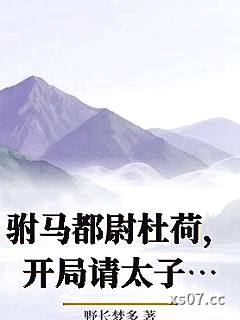 驸马都尉杜荷，开局请太子赴死小说封面-野长梦多-现代都市