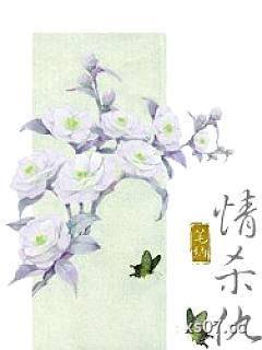 情杀仇小说封面-笔纳-武侠