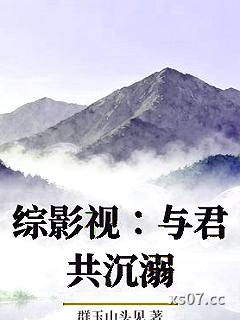 综影视：与君共沉溺小说封面-群玉山头见-言情