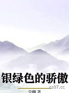 银绿色的骄傲小说封面-尘嘲-军事