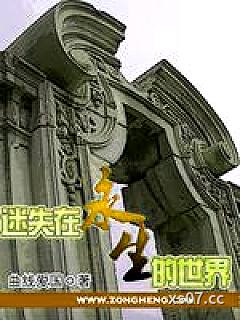 迷失在《永生》的世界小说封面-曲线爱国-武侠