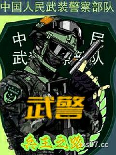 武警：兵王之路小说封面-老楼别睡了-军事