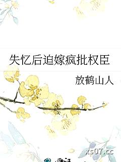 失忆后迫嫁疯批权臣小说封面-放鹤山人-军事
