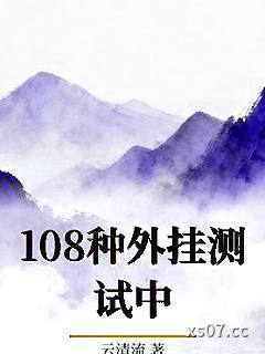 108种外挂测试中