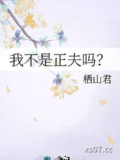 我不是正夫吗？小说封面-栖山君-奇幻