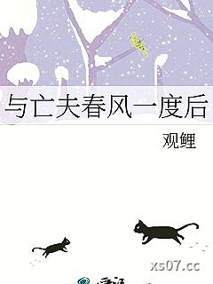 与亡夫春风一度后小说封面-观鲤-军事