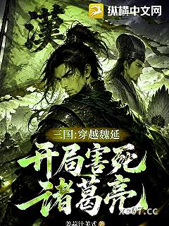 三国：穿越魏延，开局害死诸葛亮小说封面-姜蒜汁美式-军事