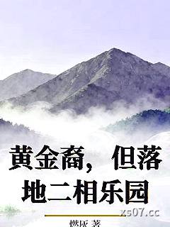 黄金裔，但落地二相乐园小说封面-燃灰-奇幻