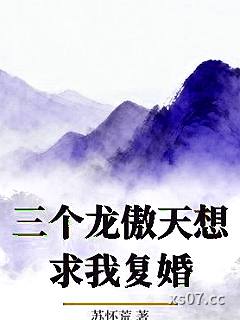 三个龙傲天想求我复婚小说封面-苏怀荒-仙侠