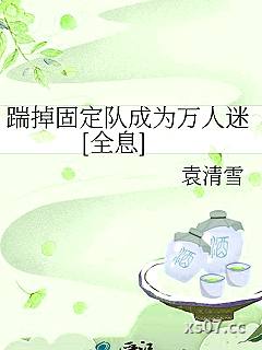 踹掉固定队成为万人迷[全息]小说封面-袁清雪-武侠