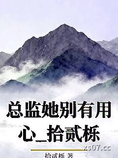 总监她别有用心_拾贰栎小说封面-拾贰栎-ＧＬ百合