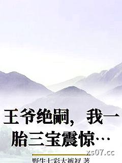 王爷绝嗣，我一胎三宝震惊全京城小说封面-野生七彩大裤衩-军事