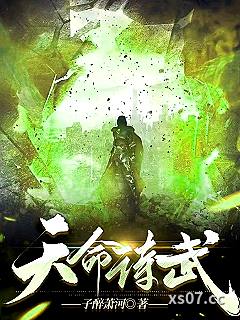 天命诗武