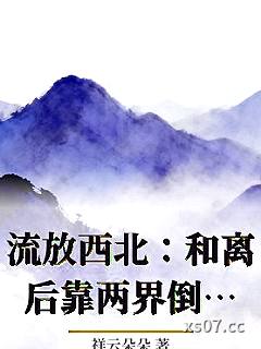 流放西北：和离后靠两界倒卖养崽小说封面-祥云朵朵-现代都市
