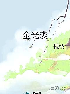 金光裘小说封面-韫枝-军事