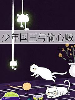 少年国王与偷心贼