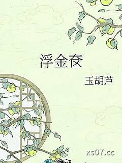 浮金奁小说封面-玉胡芦-轻小说