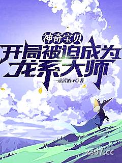 宝可梦：一代大师