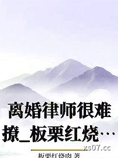 离婚律师很难撩_板栗红烧肉小说封面-板栗红烧肉-ＧＬ百合