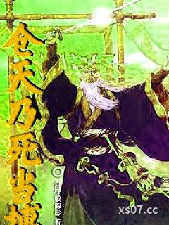 穿越后我还是戴黄盔穿黄袍小说封面-月样般的彤-历史
