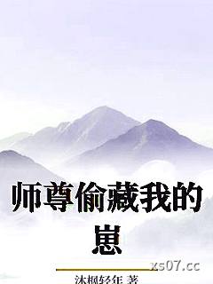 师尊偷藏我的崽小说封面-沐枫轻年-历史