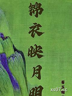 锦衣映月明小说封面-青玉蟾-历史