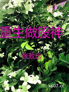 重生：金融巨子归来为爱涤荡乾坤