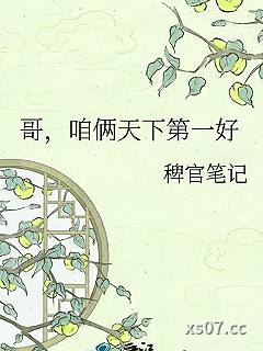 哥，咱俩天下第一好小说封面-稗官笔记-历史