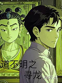 道不明之寻龙小说封面-以礼相待-推理悬疑