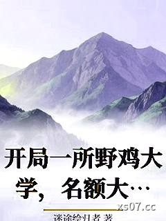 开局一所野鸡大学，名额大佬抢疯小说封面-迷途绘归者-都市