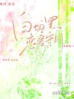 白切黑恋爱守则小说封面-南晞垚-历史