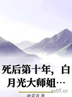 死后第十年，白月光大师姐回来了小说封面-叶芷青-其他