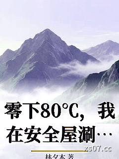 零下80℃，我在安全屋涮火锅小说封面-林夕木-科幻