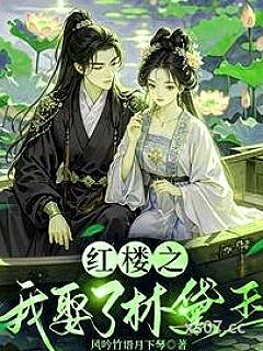 逆袭红楼：我娶了林黛玉小说封面-风吟竹语月下琴-穿越重生