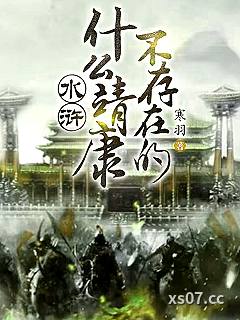 水浒：什么靖康？不存在的小说封面-寒羽-历史