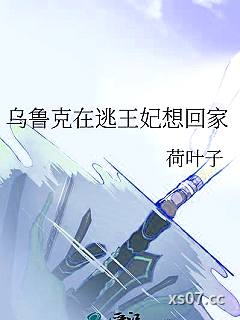 乌鲁克在逃王妃想回家小说封面-荷叶子-奇幻