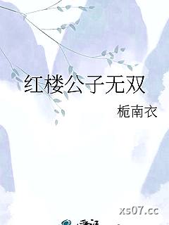 红楼公子无双小说封面-栀南衣-仙侠