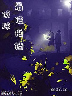 侦探：最佳拍档小说封面-渣渣Lo-推理悬疑