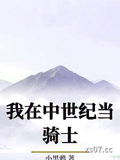 我在中世纪当骑士