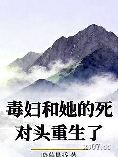 毒妇和她的死对头重生了小说封面-晓暮晨昏-穿越重生